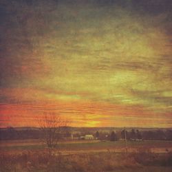 Scenic view of field against sky at sunset