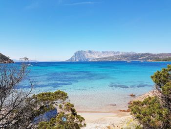 Scenic view of sea against clear blue sky