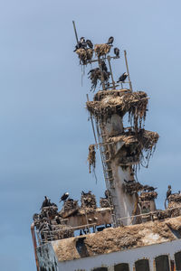 Shipwreck zeila near henties bay on the skeleton coast of namibia