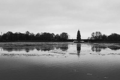 Reflection of trees in lake