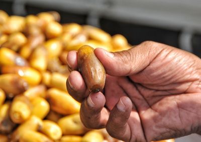 Close-up of person hand