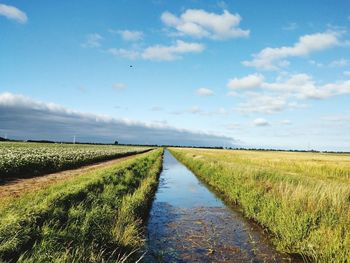 Road amidst field against sky