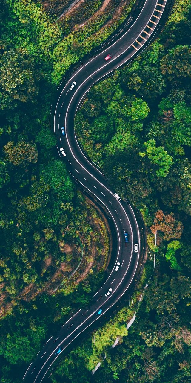 transportation, road, curve, plant, tree, high angle view, mode of transportation, nature, no people, highway, aerial view, day, street, land vehicle, marking, road marking, green color, land, motion, growth, outdoors, multiple lane highway