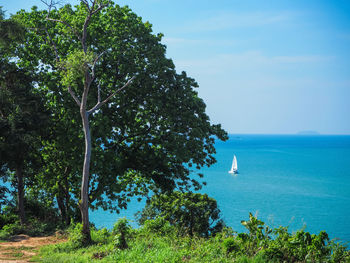 Scenic view of sea against sky