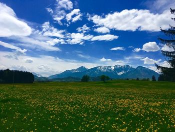 Scenic view of field against sky