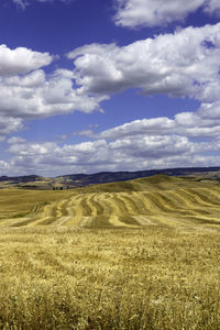 Scenic view of agricultural field against sky