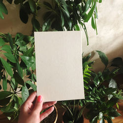 View of a white sheet against a background of plants. mockup postcards