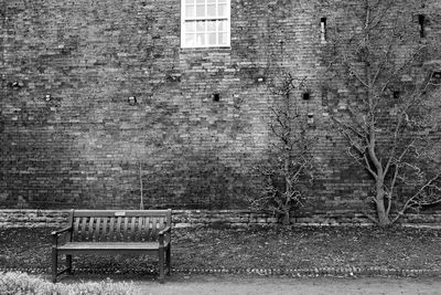 Pattern on brick wall