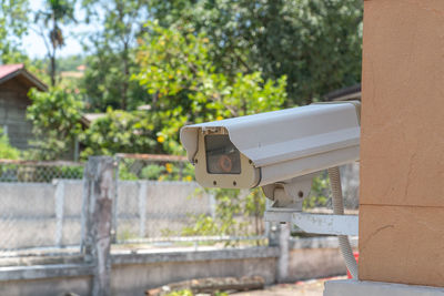 Close-up of mailbox on tree in yard