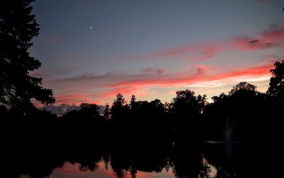 Silhouette trees by calm lake at sunset