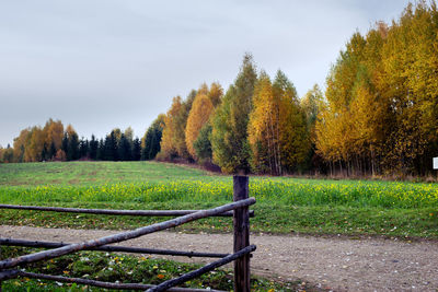 Trees on field against sky during autumn