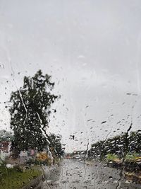 Raindrops on glass window