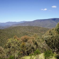 Scenic view of landscape against clear sky