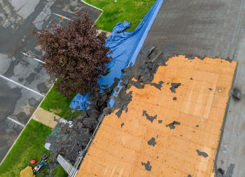 High angle view of tree by road in city