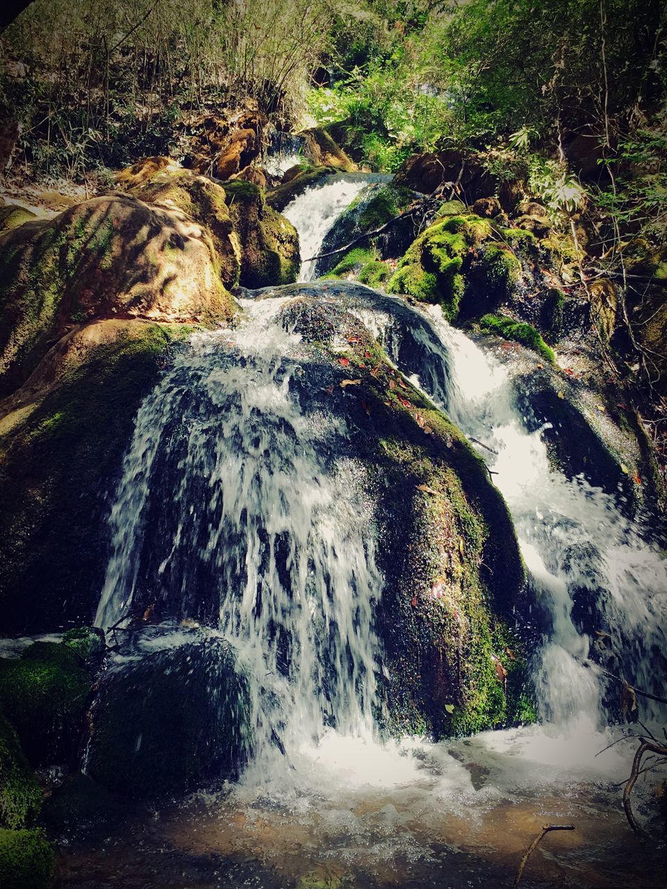 waterfall, flowing water, motion, water, flowing, long exposure, tree, forest, beauty in nature, nature, scenics, rock - object, stream, blurred motion, growth, plant, environment, splashing, river, idyllic