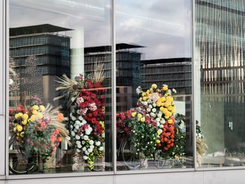 Flowers on glass window of building