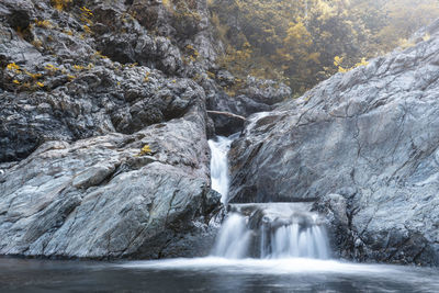 Scenic view of waterfall in forest