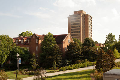 Trees and buildings in town against sky