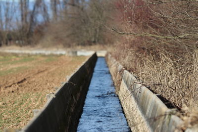 Wooden footbridge over river in forest