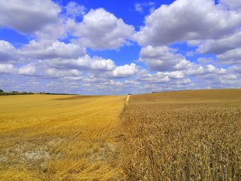 Scenic view of agricultural field against sky