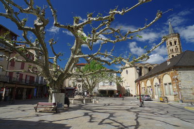 Street amidst trees and buildings in city against sky