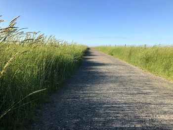 Empty road along plants on field against clear sky