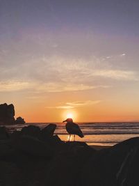 Silhouette man on rock at beach against sky during sunset