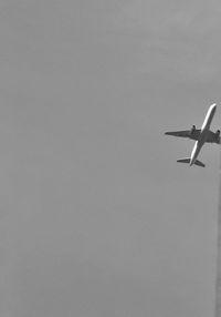 Low angle view of bird flying in sky
