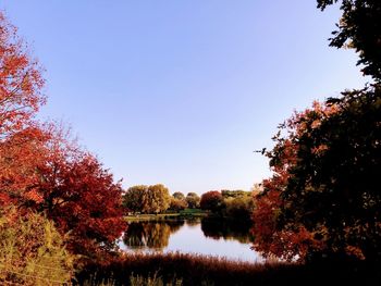 Scenic view of lake against clear sky during autumn