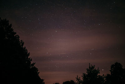 Low angle view of silhouette trees against sky at night