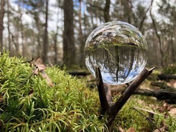 Close-up of glass ball on field