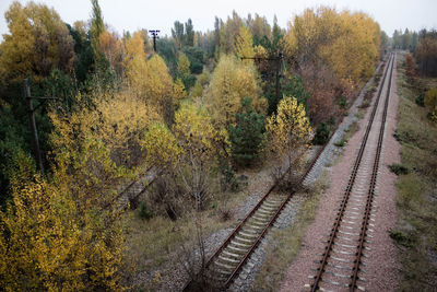 Dirt road passing through forest