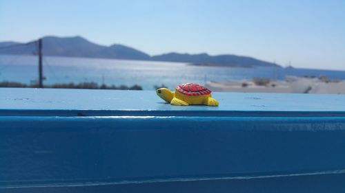 Close-up of fruits on beach against blue sky