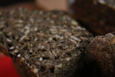 Close-up of bread