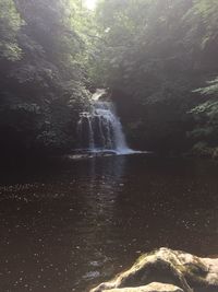 Scenic view of waterfall in forest against sky