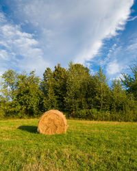 Hay bales on field against sky