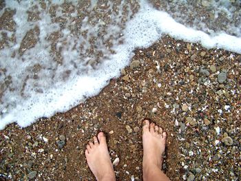 Low section of people on beach