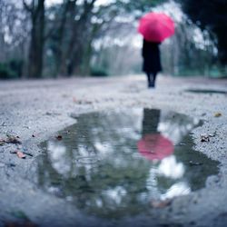 Rear view of woman holding umbrella reflecting in puddle on street