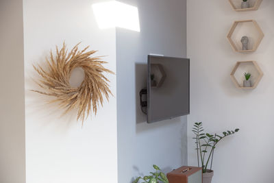 Potted plants on wall at home