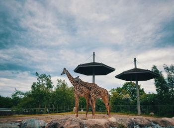 Gazebo standing on landscape against sky