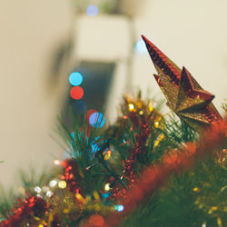 Close-up of illuminated christmas tree