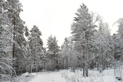 Scenic view of snow covered landscape