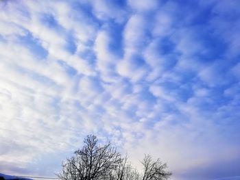 Low angle view of bare tree against cloudy sky