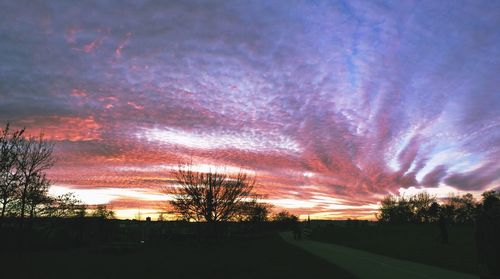 Silhouette trees against sky during sunset
