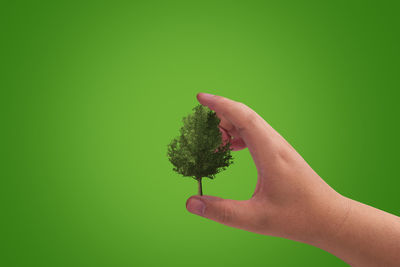 Close-up of hand holding leaf over green background