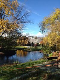 View of park in park