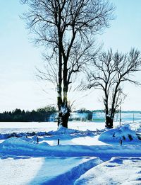 Scenic view of tree during winter against sky