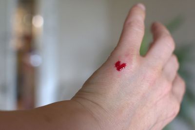 Close-up of hand holding red leaf