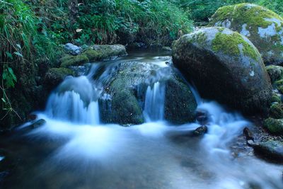 Scenic view of waterfall in forest