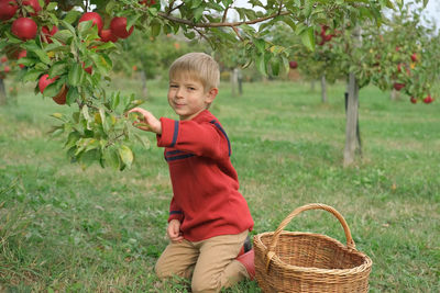 Portrait of boy holding basket